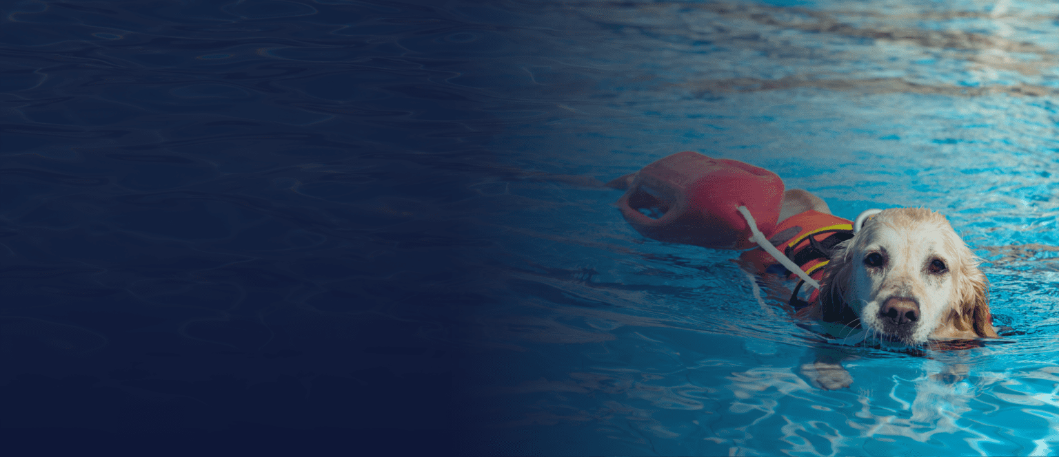 Contact Us Aquatic Training & Consulting Services